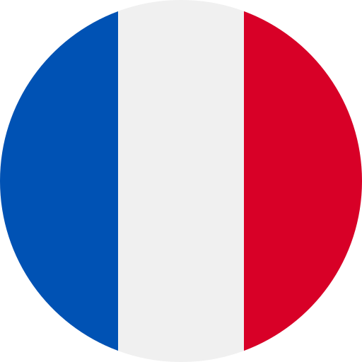 Français (France)